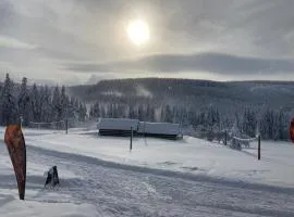 Apartmány Rychtaříkovi