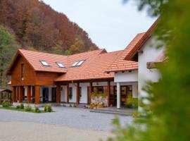 Patakmenti Panzió Spa, ubytování s lázní onsen v destinaci Corund