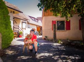Au murier, hotel v destinaci Goxwiller