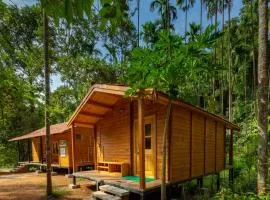 Chalets in Agumbe RainForest