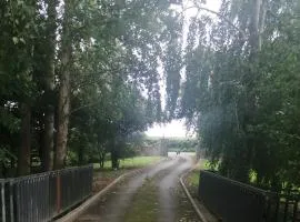 Delphi Lodge