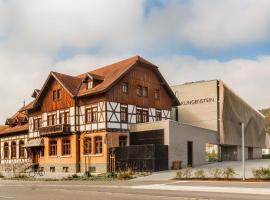 Hotel-Wirtshaus-Brauerei Klingenstein, hotel in Blaustein