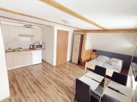 Apartamenty Wiktora