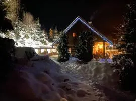 Wooden house in the heart of the Giant Mountains with own hill
