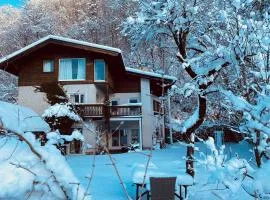 Chalet Happy Family, secluded location, 15 min to salzburg and just short to t lakes sound of music, BBQ&bikes&sunbeds for free, up to 14p