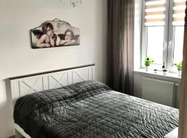 Apartament na Skrzypka, hotel in Cieszyn