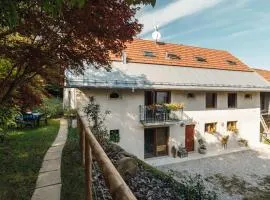 B&B AL VECCHIO CARPINO