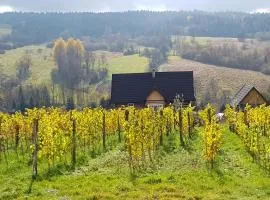 Utopia Dom przy winnicy