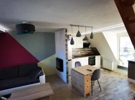 Gemütliche Dachwohnung mit kleiner oder großer Dachterrasse nebeneinander