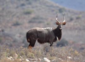 Riverstone Game Farm, casa de hóspedes em Ladismith