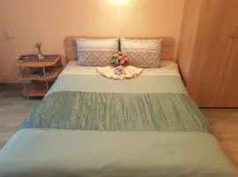 Apartment Home comfort in Nikolaev