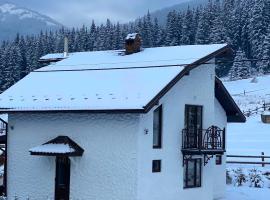 Guest House Lileya Villa, hotel en Polyanitsa Popovichevskaya