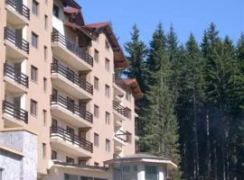 Mtn View Ski Apt - Sleeps4 PetOK 5 Min Ski Lift