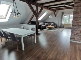 FeWo Rohleder de mit 130m2 und Garten für 6Pers mit 2 Bad, מלון בקוטבוס