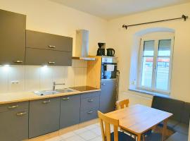 Apartments SteelCity, hotel v Linci