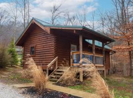 Pine Creek Cabins & Camping Resort, feriebolig i South Bloomingville