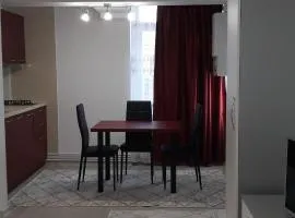Irvin Apartament