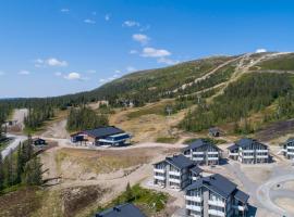 Mountain Lodge, ToppTrysil 6+1 guest -Skihytta, chalet i Trysil