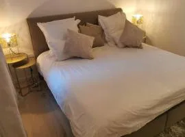 Magnifique et grand trois pièces avec une belle terrasse meublée et arborée