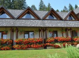 Pensiunea Inima Bucovinei, hotel di Frasin