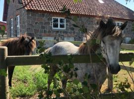 Stenhuset - Country House, hotel v destinaci Rodby