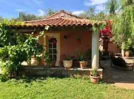 Domaine Le Clos des Oliviers