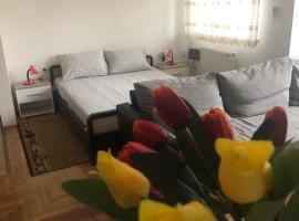 Tulipan, ξενοδοχείο σε Sombor