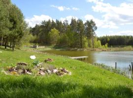 hut in the mid. of nowhere + priv pond+3 ha, hotel with parking in Darżkowo