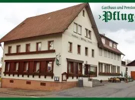 Gasthaus Pflug