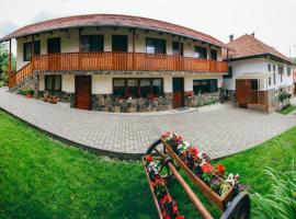 Gyöngyvirág Panzió, guest house in Lupeni