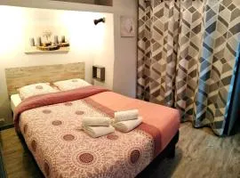 T2 bis quartier château de Pau