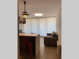 Arriendo departamento excelente ubicación por día