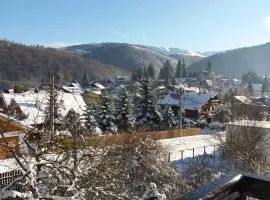 Apartament La poteca ursului