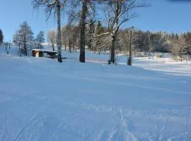Chalet in Malá Skála near Ski Slopes