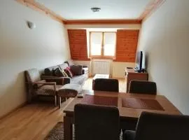 Apartman 205- Aparthotel Vučko Jahorina private host 50m2