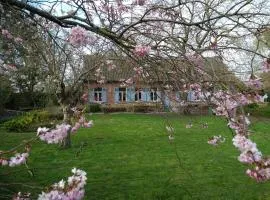 Saffels Nest 33