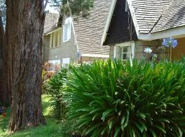 Thomsons Falls Lodge