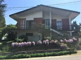 Villa Zene