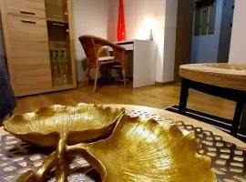 Apartamet 45