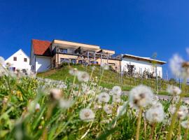 Weingut und Gästezimmer Perner, family hotel in Ehrenhausen