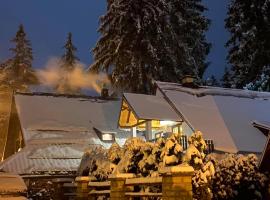 Vikendica ABASA Vla&scaron;ić