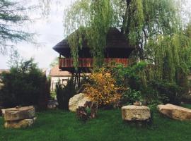 Casa Ott, holiday rental in Prisaca Dornei