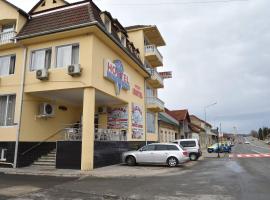 Casa Simescu I: Caransebeș şehrinde bir havuzlu otel