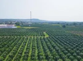 Homestay Thảo Nguyên Xanh