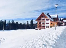 Pohorje Village Wellbeing Resort - Forest Apartments Videc