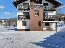 Guest House Stari Druzy