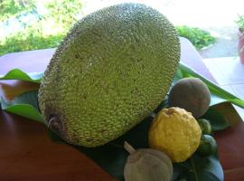 Hotel Palmeral Dorima, Hotel in Caracol