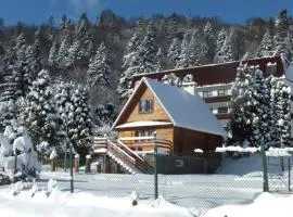 Perełka Bieszczady Domki