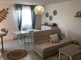 Appartement cosy avec jardin à Blagnac.