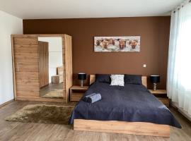 Černý Tulipán - Apartmán 3, hotel en Pilsen